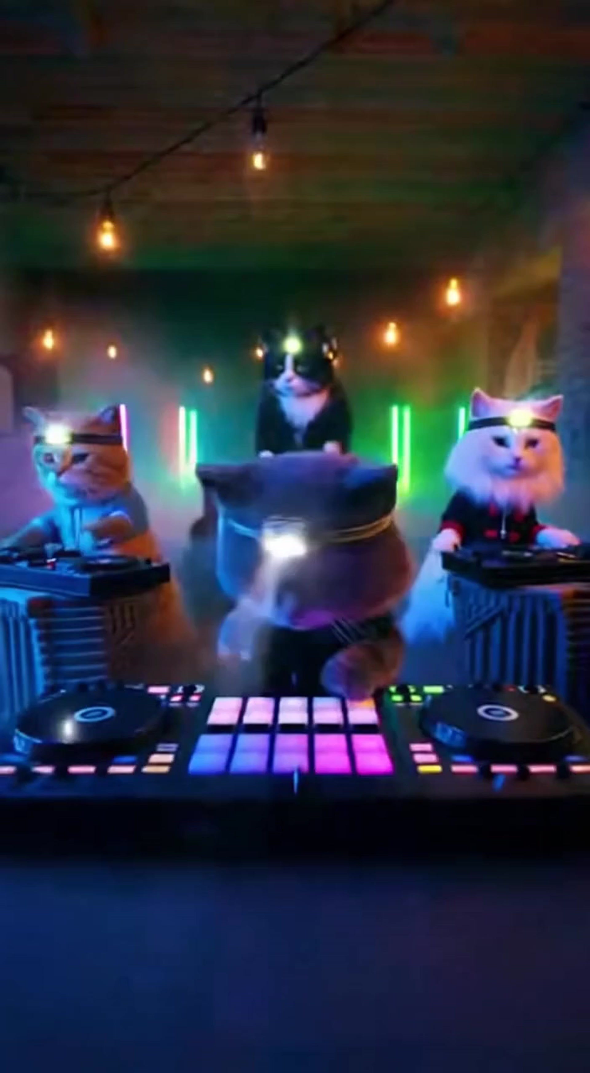 Feline DJs: Cats Spin Beats in an Epic Basement Light Show