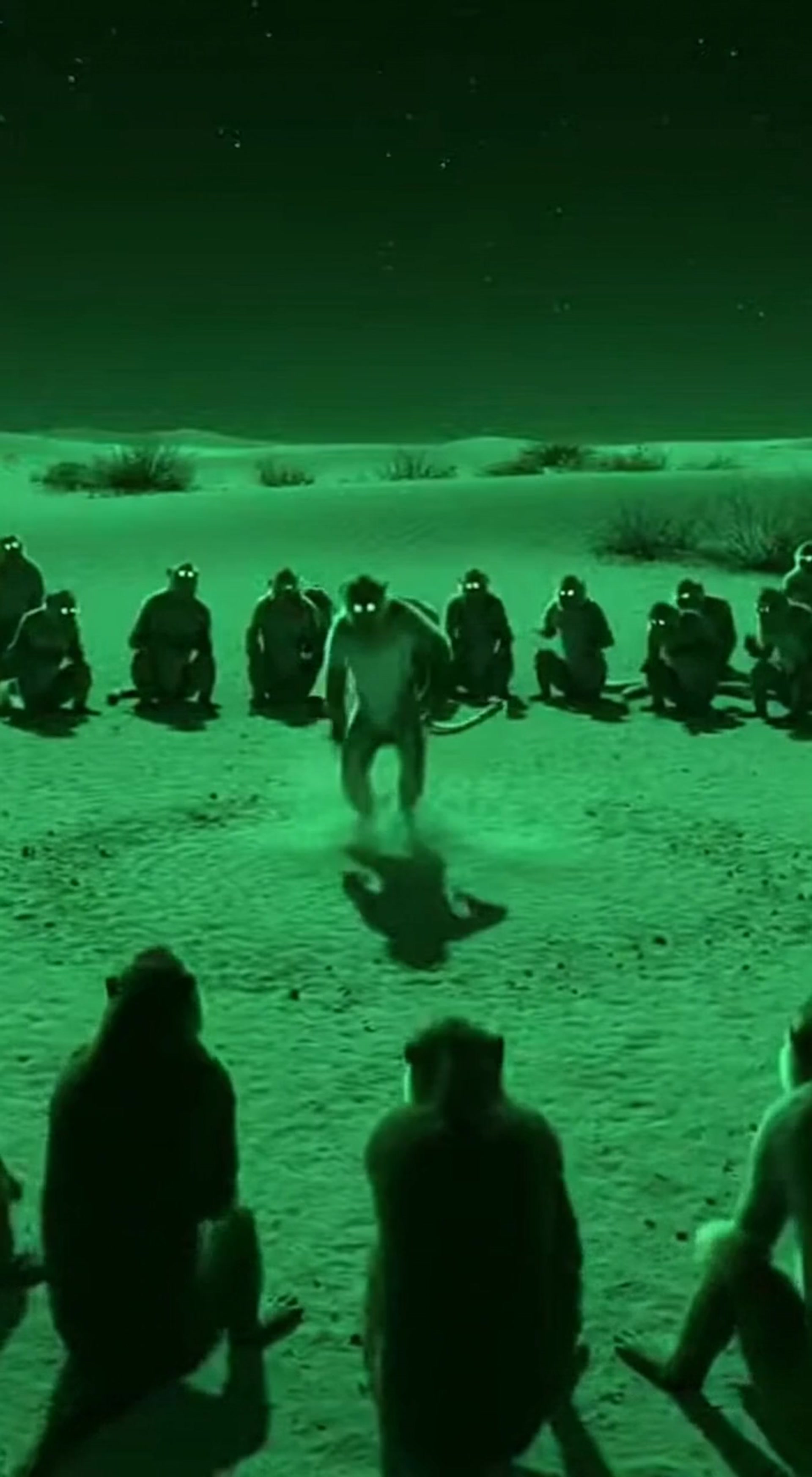 Night Vision Monkey Dance in Desert Circle with Glowing Eyes and Realistic Wildlife Movement